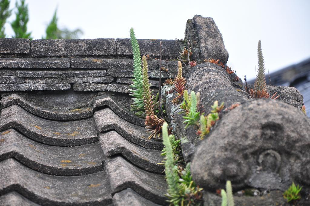 Soi Hanok Stay Gyeongju Exterior foto